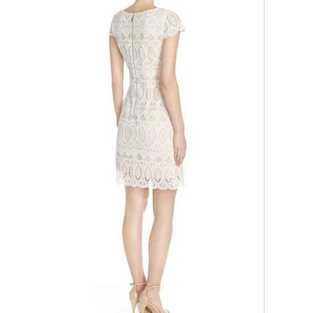 Eliza J Knit Lace Short Sleeve Shift Mini Dress W… - image 2