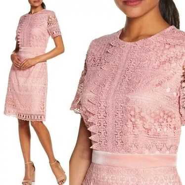 Rachel Parcell Pink Lace Sheath Dress Size S Velv… - image 1