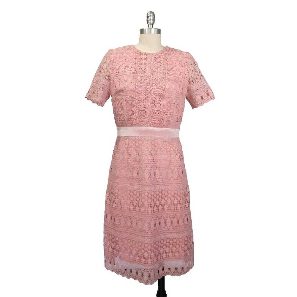 Rachel Parcell Pink Lace Sheath Dress Size S Velv… - image 2