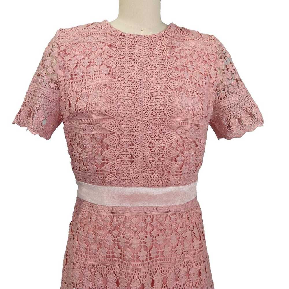 Rachel Parcell Pink Lace Sheath Dress Size S Velv… - image 3