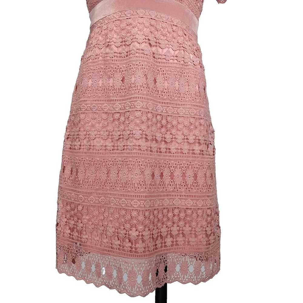 Rachel Parcell Pink Lace Sheath Dress Size S Velv… - image 4