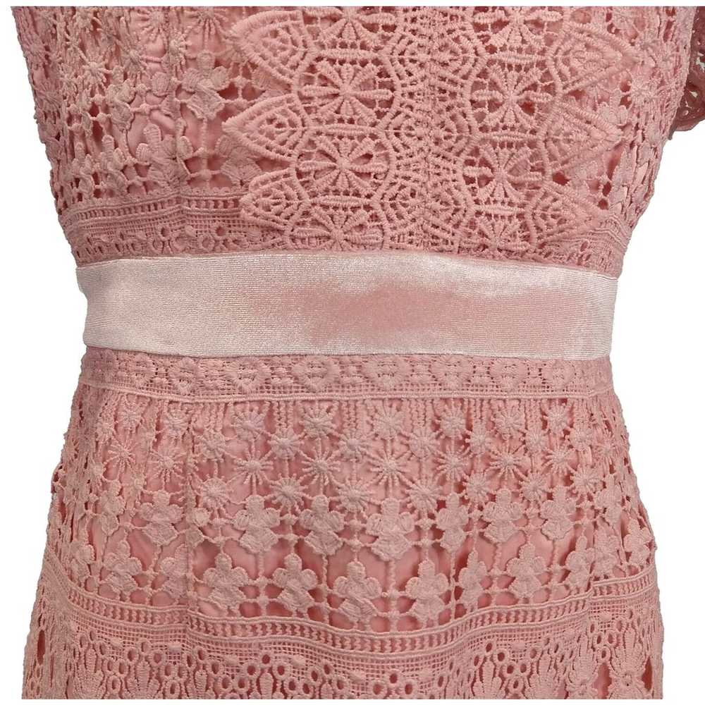 Rachel Parcell Pink Lace Sheath Dress Size S Velv… - image 5