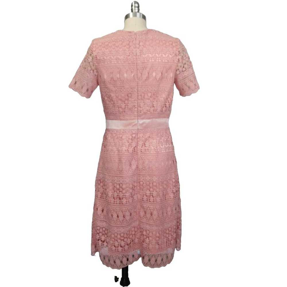 Rachel Parcell Pink Lace Sheath Dress Size S Velv… - image 6