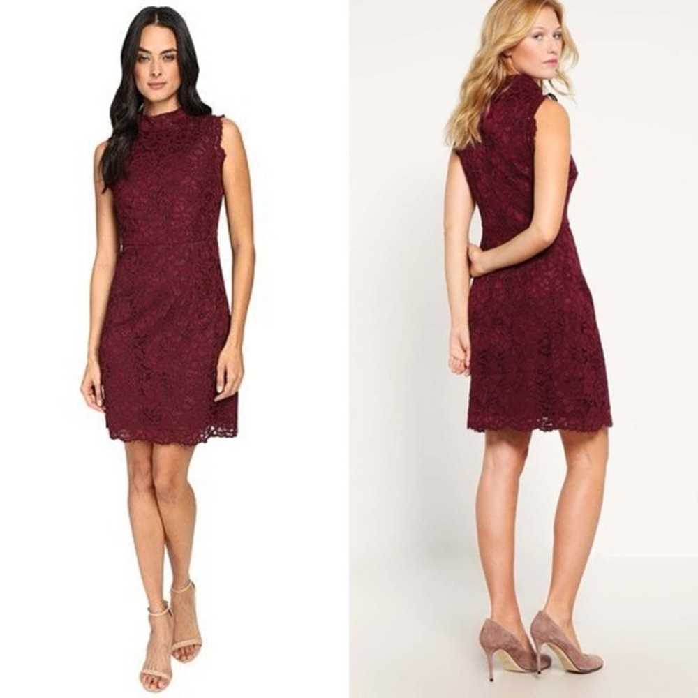 Ted Baker Lace Dress - image 5