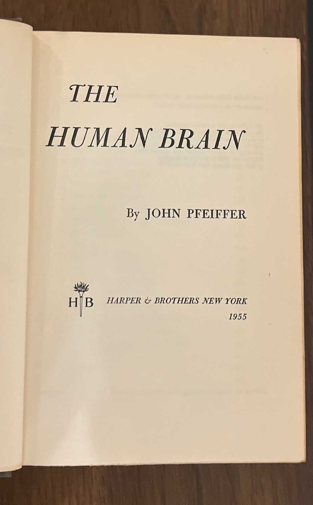 The Human Brain By John Pfeiffer, 1955 - image 4