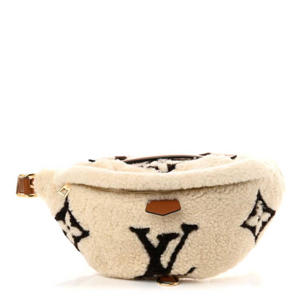 LOUIS VUITTON Shearling Monogram LV Ski Bumbag Cr… - image 1