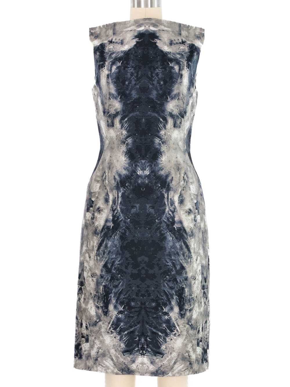 2010 Alexander McQueen Printed Silk Dress - image 1