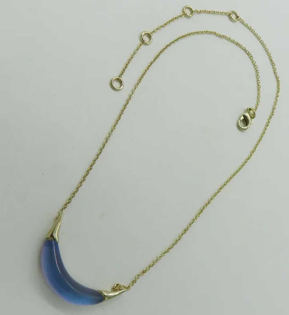 Alexis Bittar Gold Capped Blue Lucite Crescent Ne… - image 3