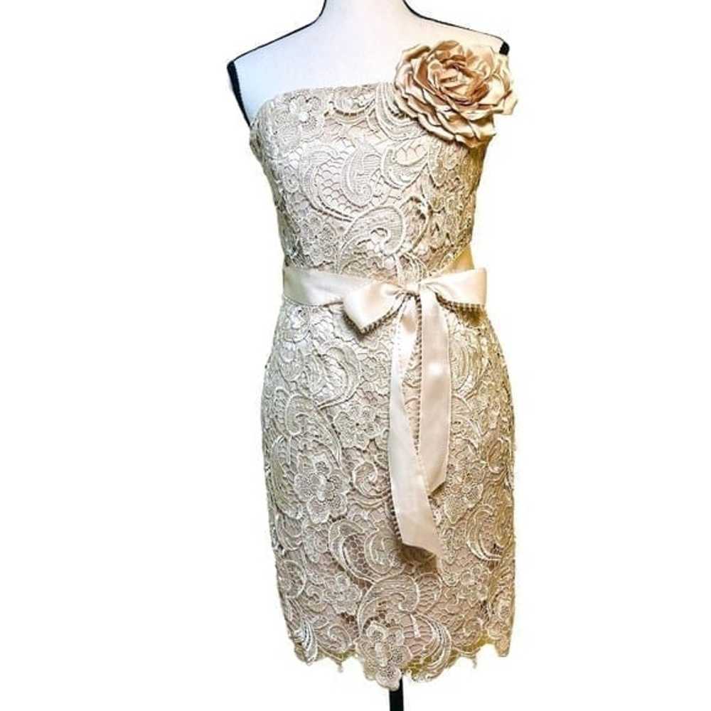 Cache lace dress with belt - image 1