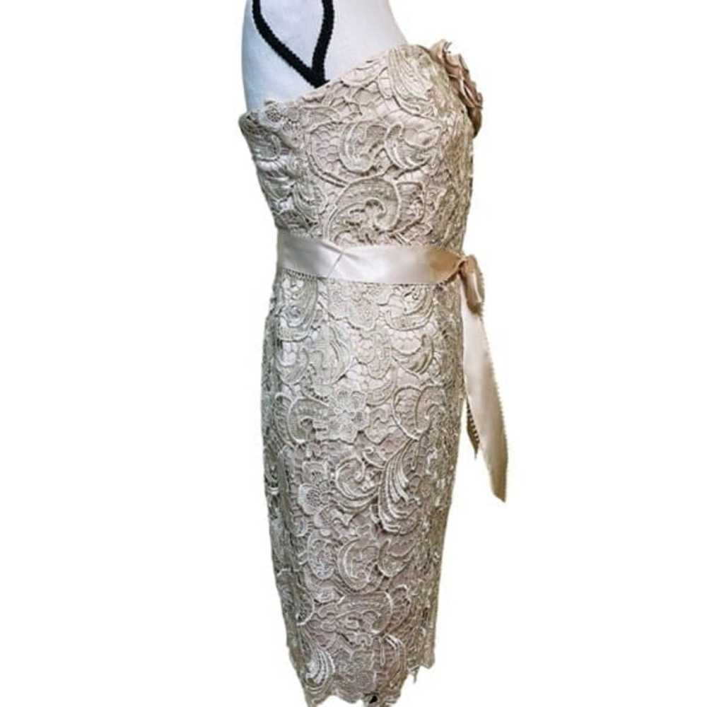 Cache lace dress with belt - image 2