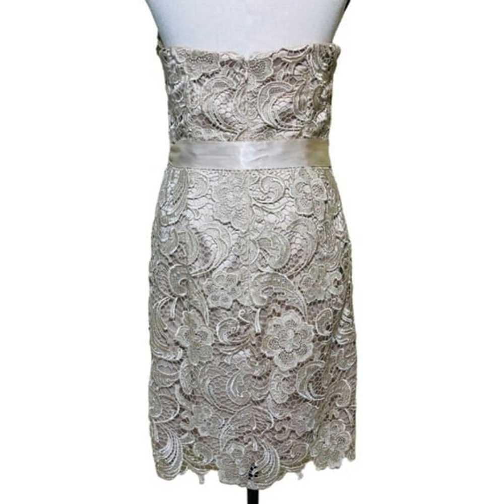 Cache lace dress with belt - image 4