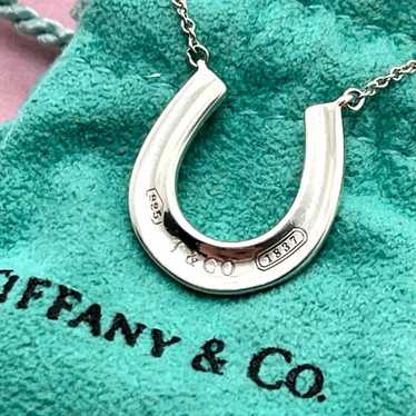 h206 Excellent condition, rare Tiffany 1837 Horses