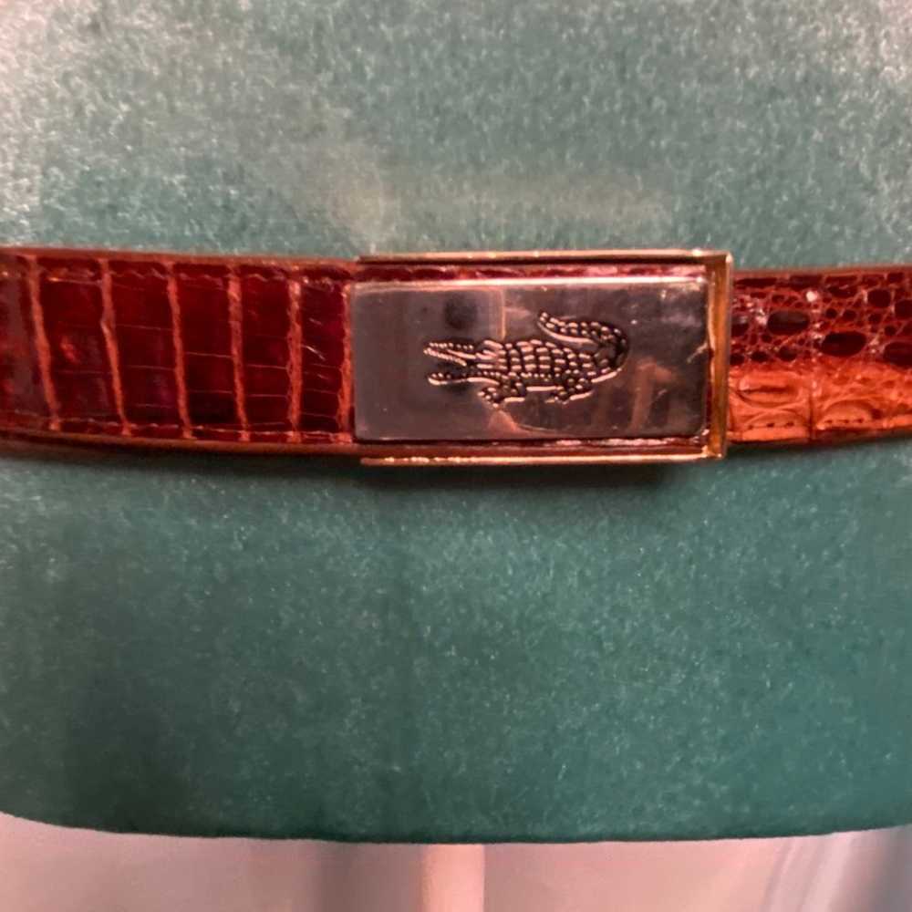 Vintage alligator belt - image 3