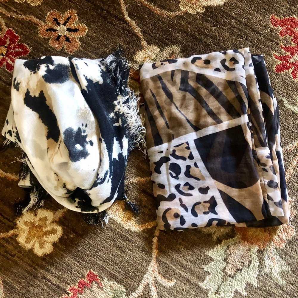 Bundle of Patterned Scarves - image 1