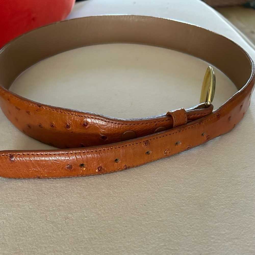 Vintage Ostrich Leather Belt FERRINI - image 2