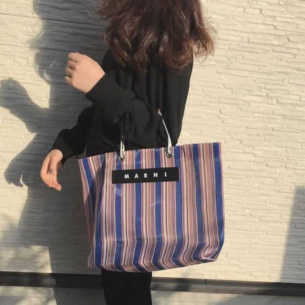 Excellent condition MARNI striped bag - image 2