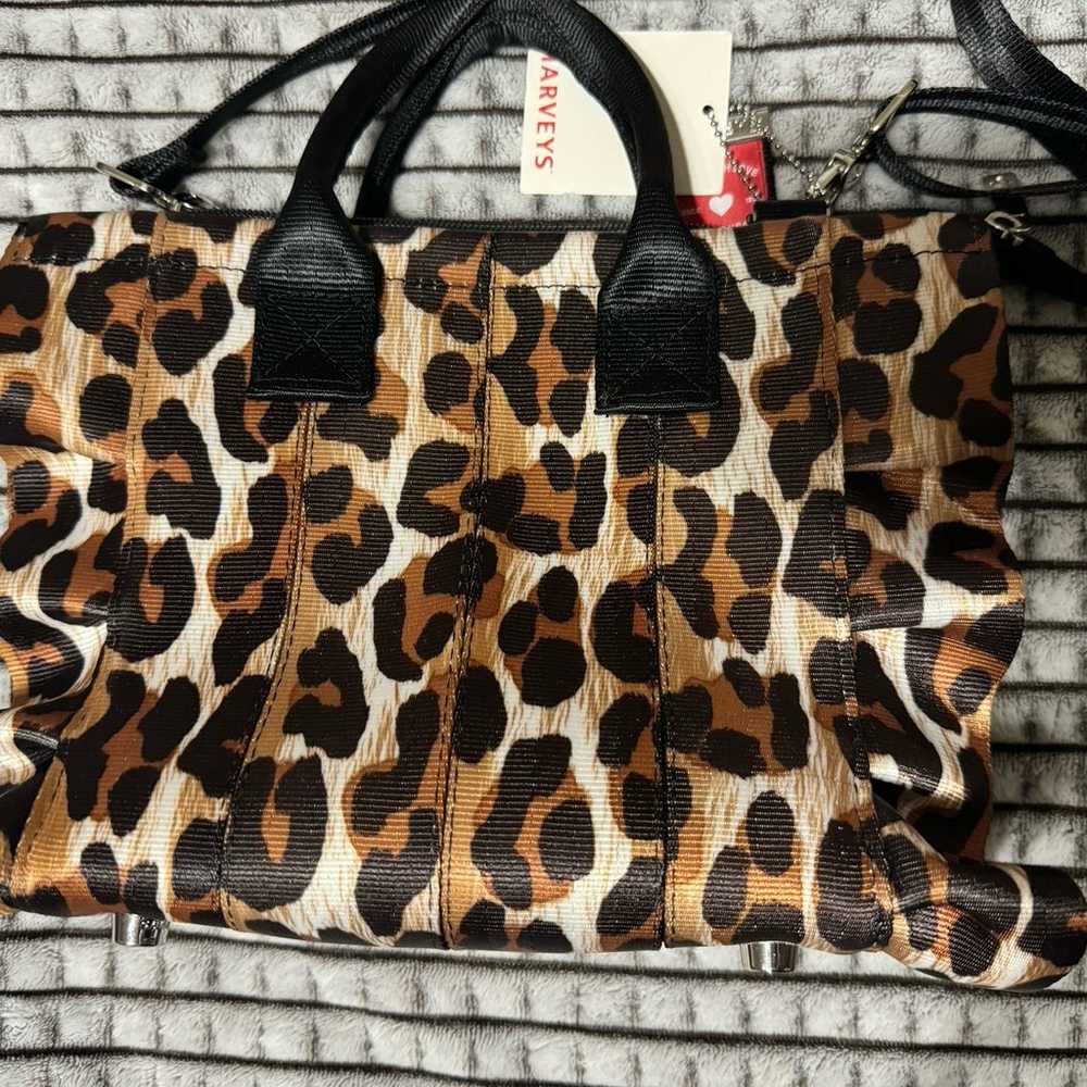 Harvey’s Seatbelt leopard Lolita - image 2