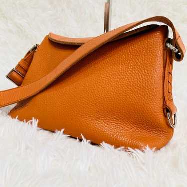 Bottega Veneta orange shoulder bag.