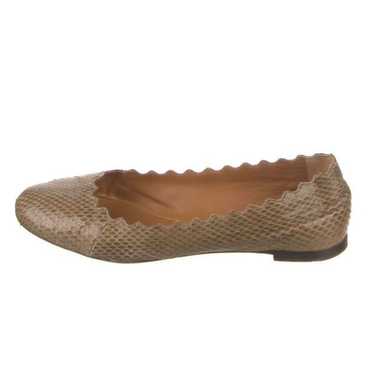 Chloe Lauren Snakeskin Ballet Flats