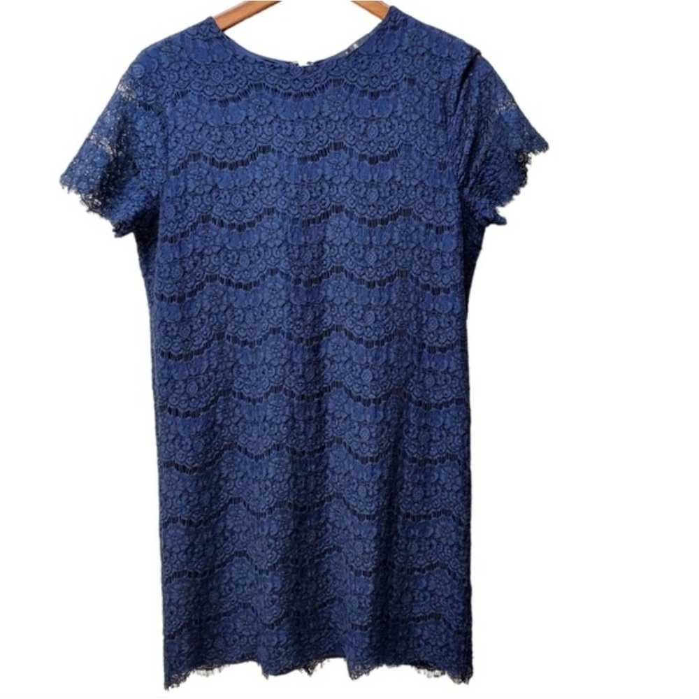 LULUS Navy Blue Lace Shift Dress in Size L - image 2