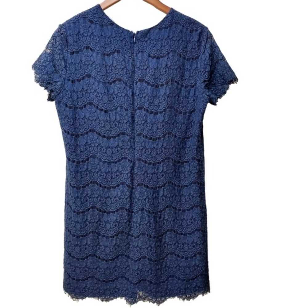 LULUS Navy Blue Lace Shift Dress in Size L - image 3