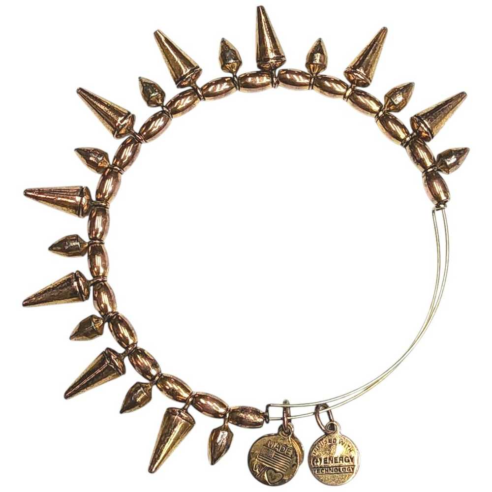 Alex and Ani Spike Gypsy Bead Vintage Sixty Six B… - image 2