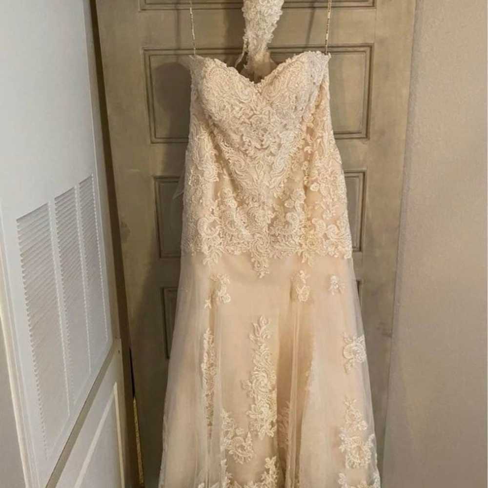 Maggie Sottero “Saige” Wedding Dress sz 20 - image 3