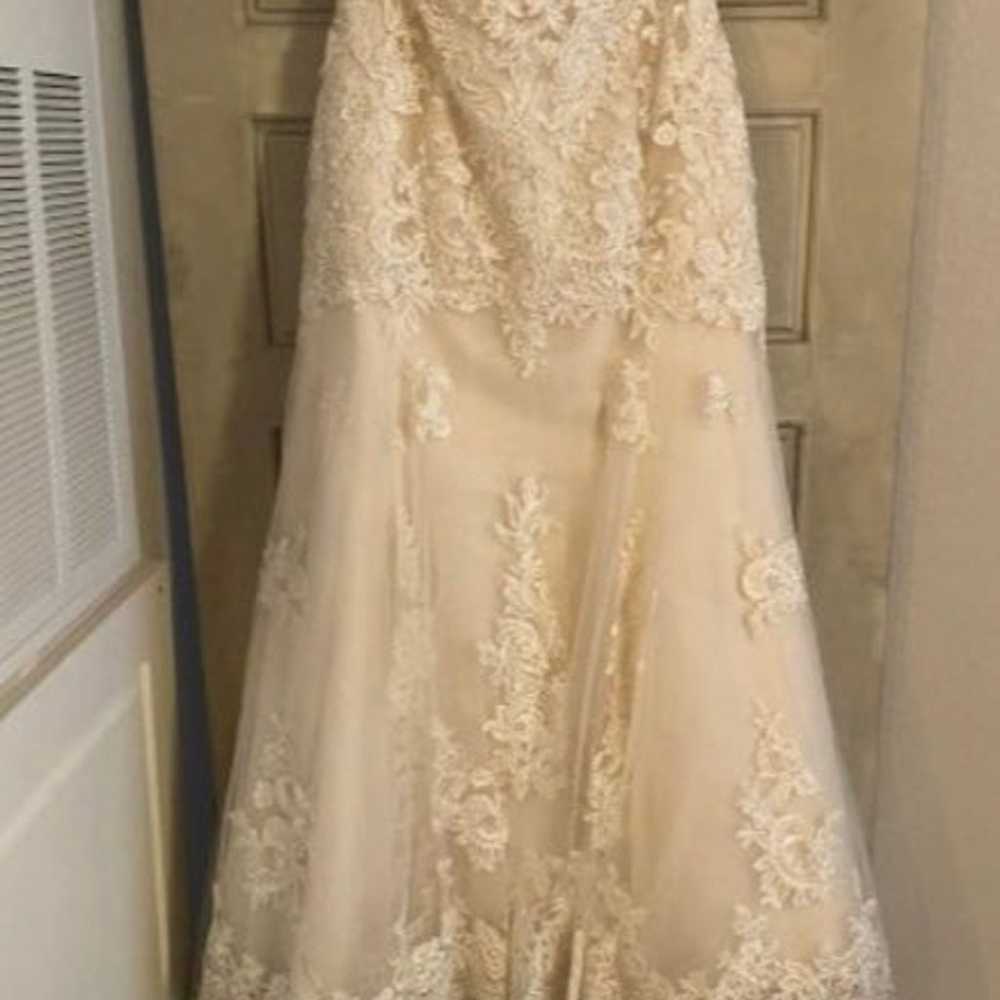 Maggie Sottero “Saige” Wedding Dress sz 20 - image 4