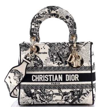 Christian Dior Lady D-Lite Bag Embroidered Canvas 