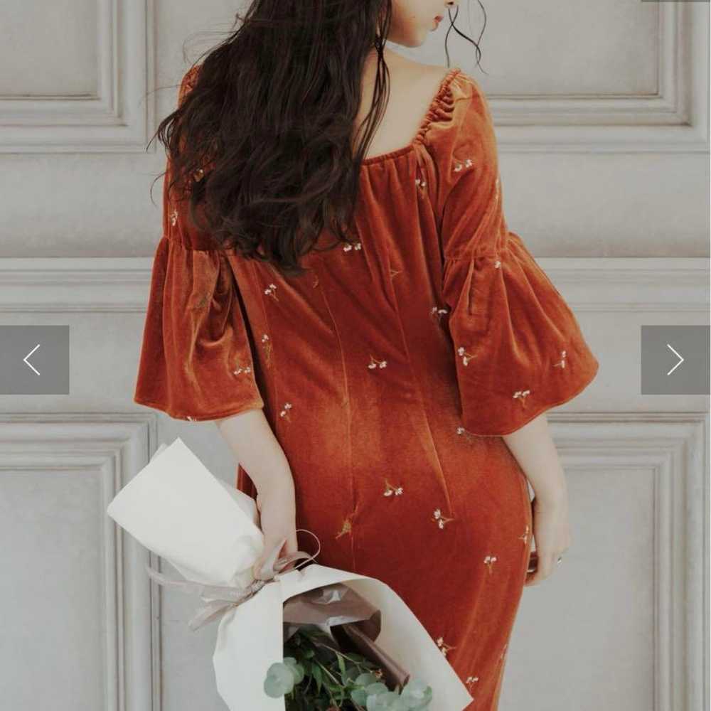 [Occasion Dress/Wedding] Velour Bell Sleeve Dress - image 3