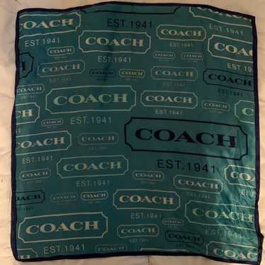 Silk Coach Scarf - image 1