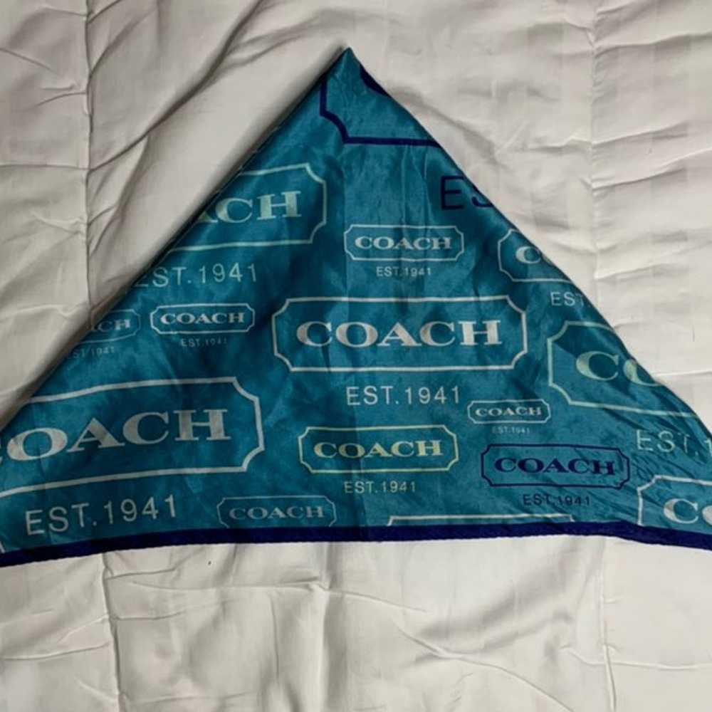 Silk Coach Scarf - image 5