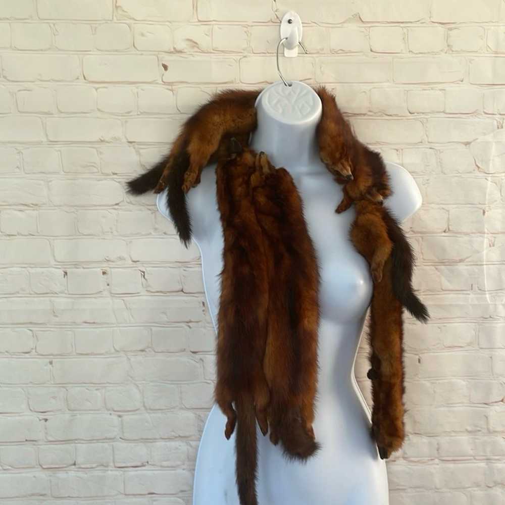 Genuine Mink Fur Scarf 5 full body real mink fur … - image 1