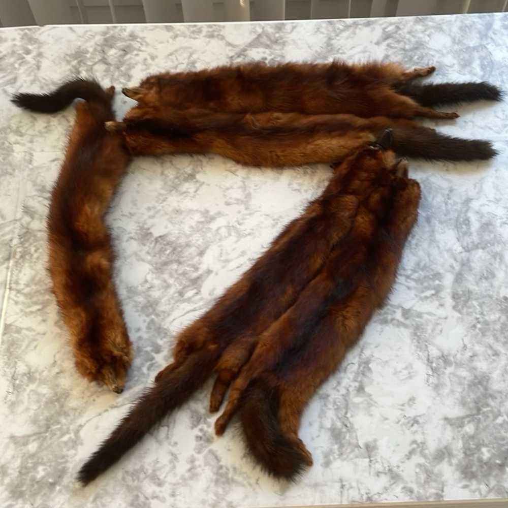 Genuine Mink Fur Scarf 5 full body real mink fur … - image 4