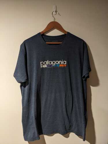 Designer × Patagonia × Streetwear Patagonia Logo R