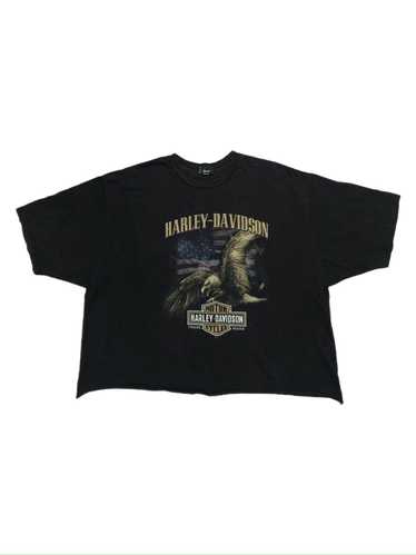 Harley Davidson × Streetwear 2015 Harley Davidson 