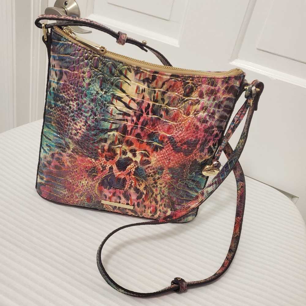 EC Brahmin Katie colorful Crossbody, Classic, Bus… - image 3