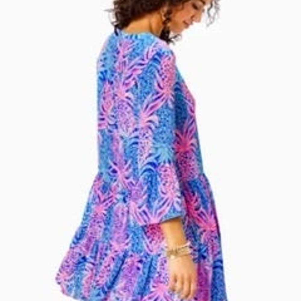 Lilly Pulitzer dress - image 3