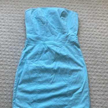 Vintage Express Stretch Strapless Dress