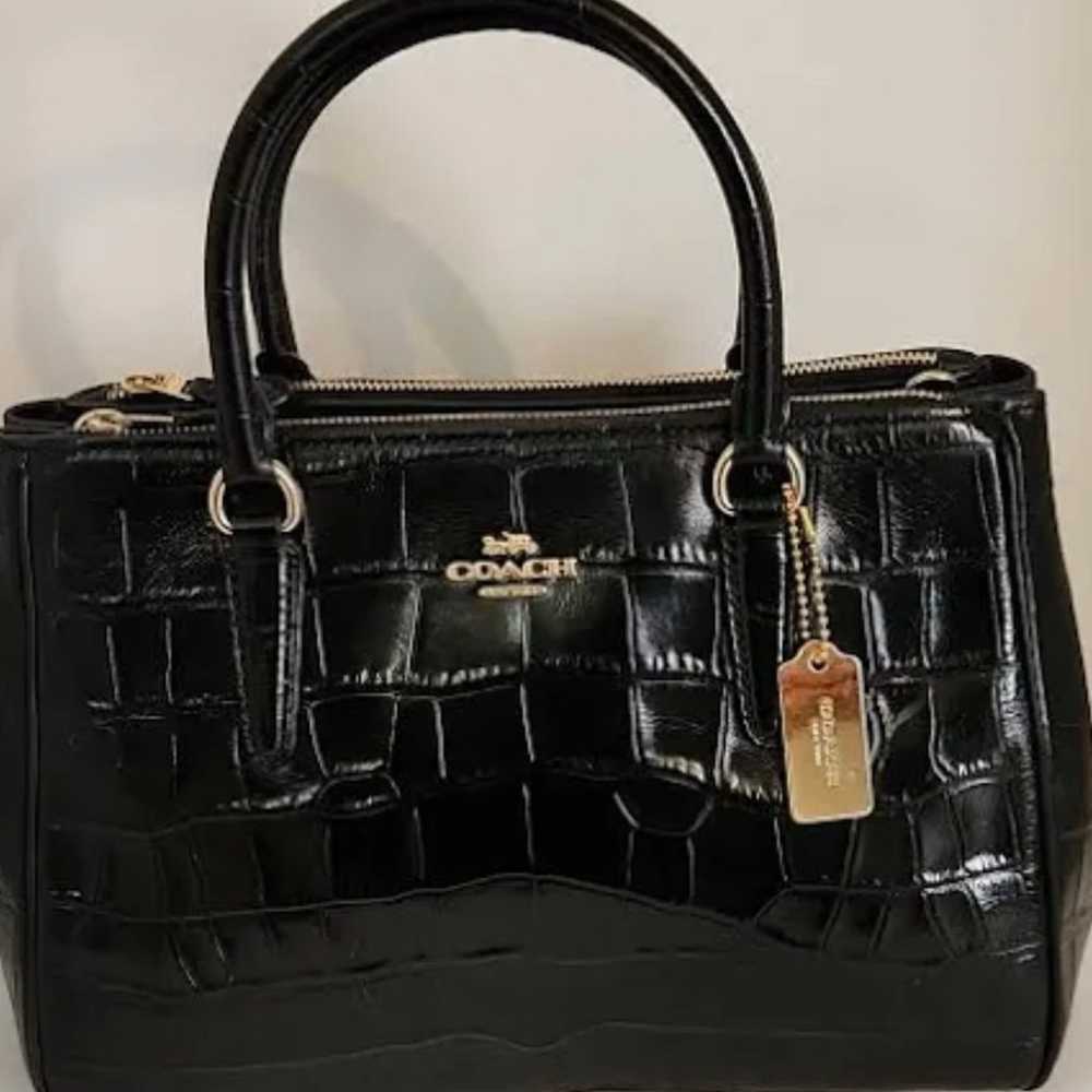 Coach leather handbags - image 1