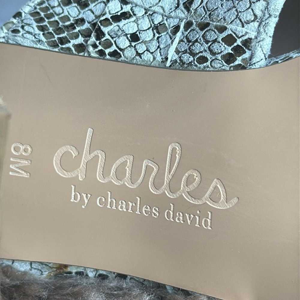 (T) Charles by Charles David City Sand Reptile Pr… - image 10