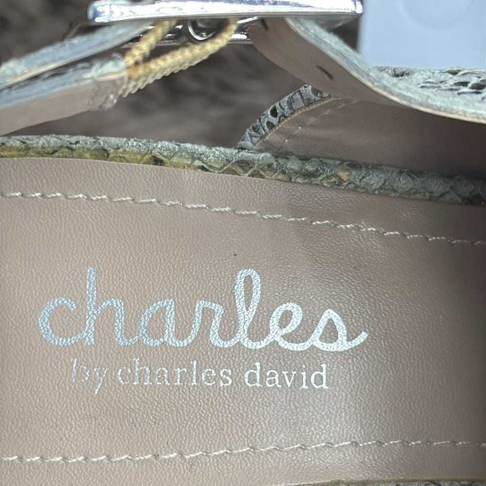 (T) Charles by Charles David City Sand Reptile Pr… - image 11