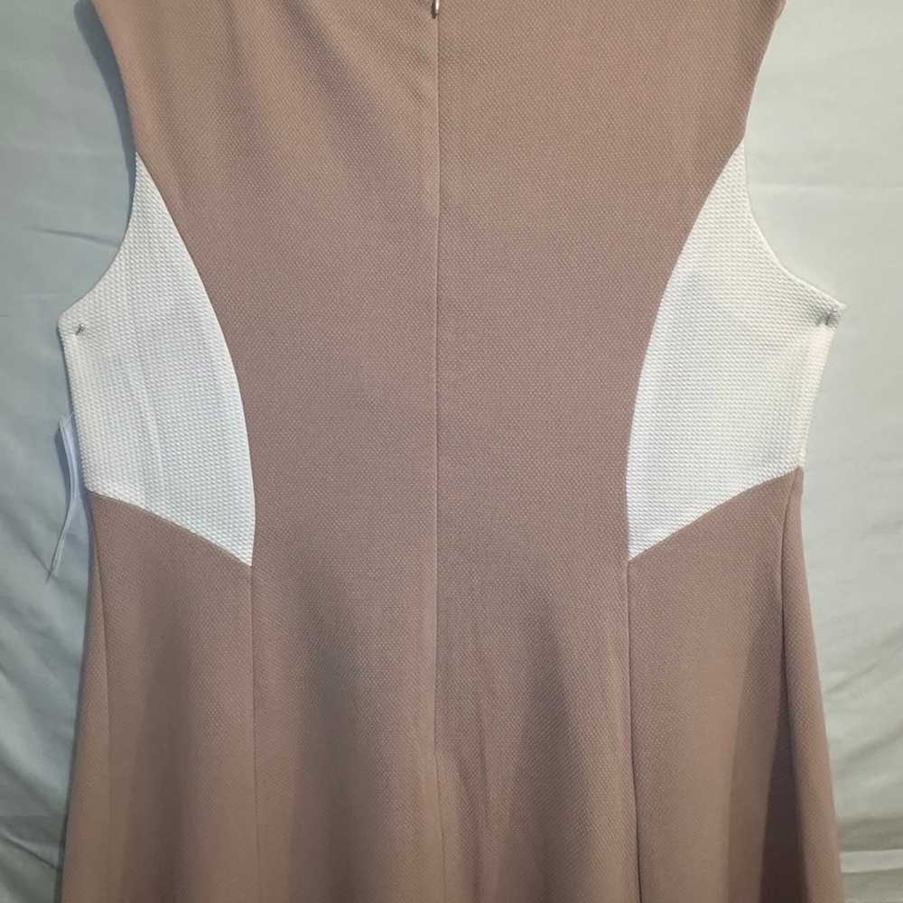 Sandra Darren SIZE 14w  Flare Dress - image 12