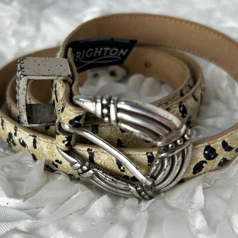 Vintage Brighton Snake Leather Skinny Belt Medium - image 12