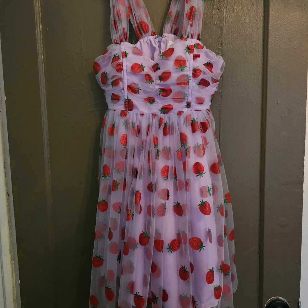 Vintage Strawberry Dres - image 1