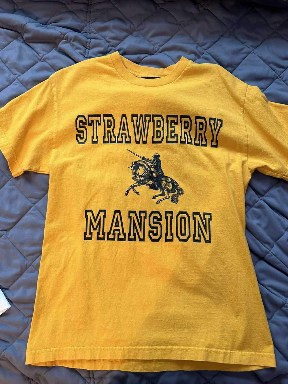 Unwanted Unwanted Strawberry Mansion T Shirt - image 1