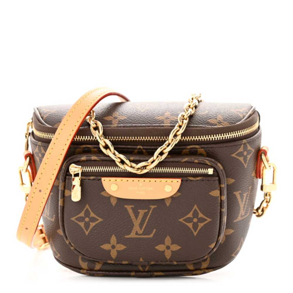 LOUIS VUITTON Monogram Mini Bumbag - image 1