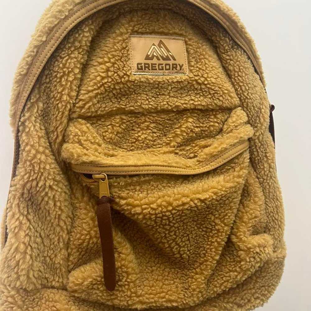 GREGORY Boaruck Beige - image 2