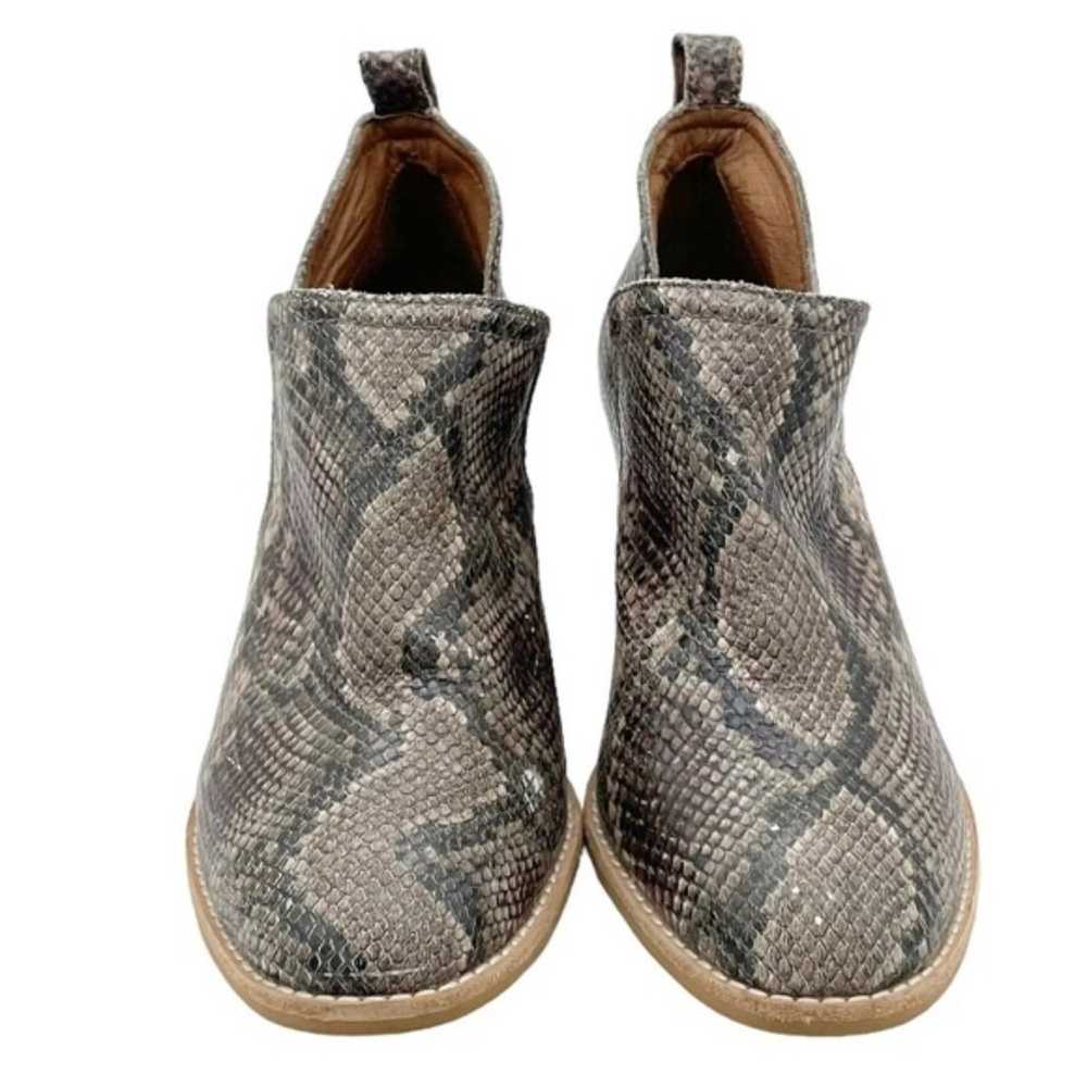 Jeffrey Campbell Rosalee Taupe Gray Snake Print L… - image 6