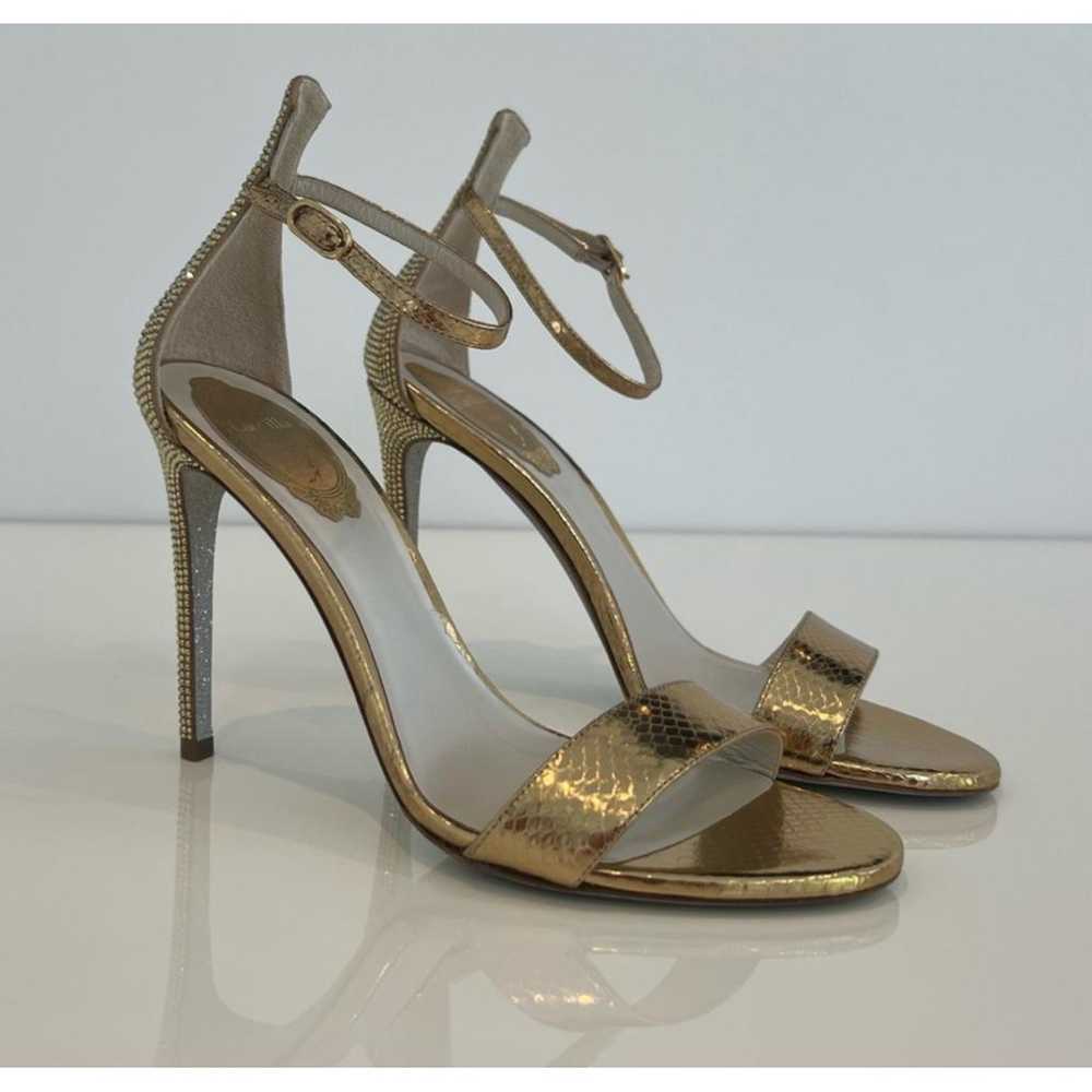 Rene Caovilla Python sandal - image 10